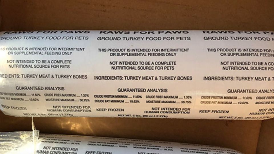 can dogs get salmonella from turkey